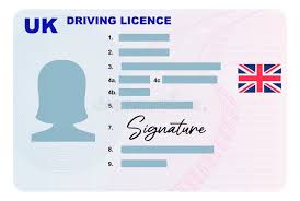 UK driving licence fast-track service step icon