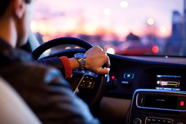 UK driving licence application expert adviser
