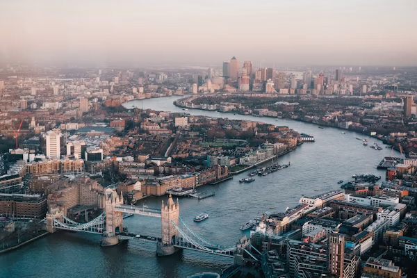 UK driving licence service London office specialist